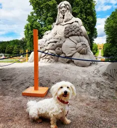 Klasse! Ein übergroßer Sandkasten!