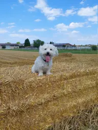 Auf dem Pferdehof!