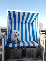 Inselabenteuer auf Sylt 