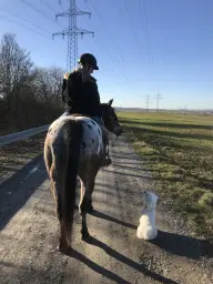 Gemeinsamer Ausritt!