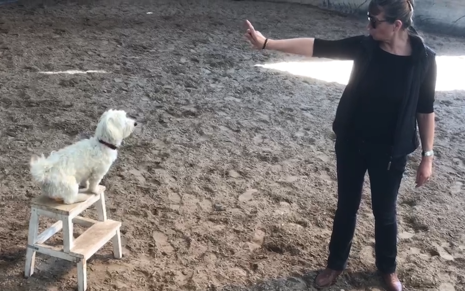 Auf�s Bild klicken dann geht Filmle los! 