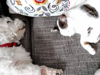 Powernap! 