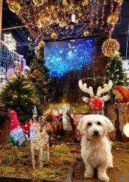 Weihnachtswunderland! 