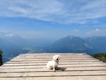 Über den Wolken!