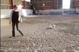 Auf�s Bild klicken dann geht Filmle los! 